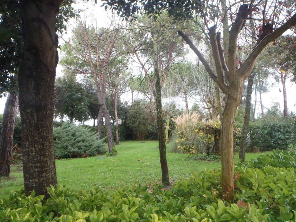 Airone Pisa Park Hotel