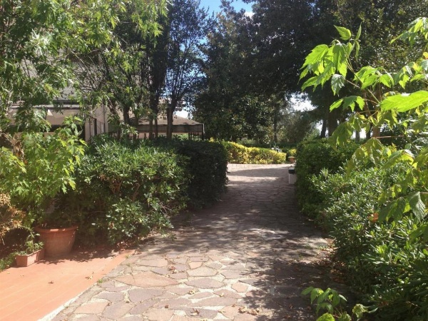 Airone Pisa Park Hotel image 10