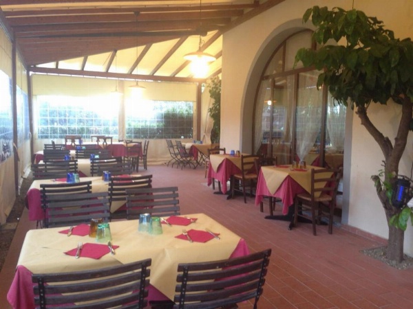 Airone Pisa Park Hotel image 17